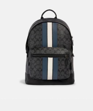 蔻驰（COACH）男士双肩包海军条